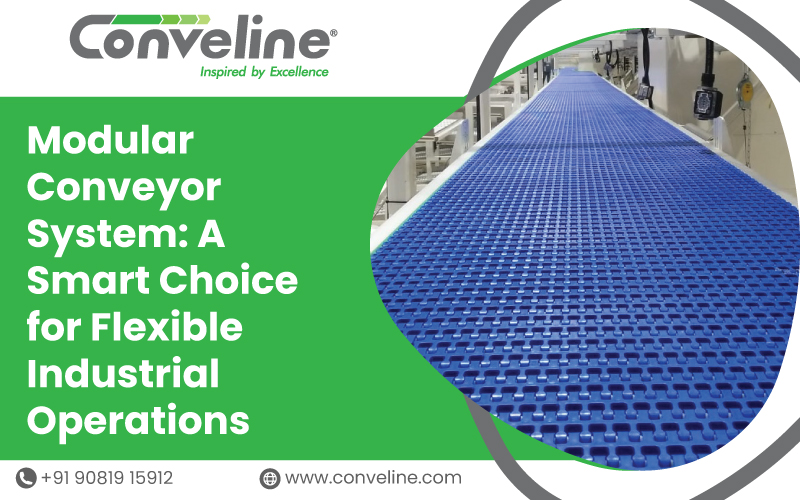 Modular Conveyor System: A Smart Choice for Flexible Industrial Operations